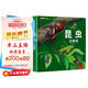 揭秘立體翻翻書：昆蟲 昆蟲界全景科普大揭秘 53個(gè)知識點(diǎn)3大立體效果展示神秘昆蟲王國 培養(yǎng)兒童孩子科學(xué)探索自然探索興趣開闊眼界