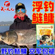 天元武漢鄧剛浮釣鰱鳙大頭魚(yú)餌料花鰱白鰱魚(yú)手竿水庫野釣鰱鳙專(zhuān)用餌料 1包
