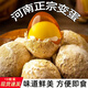 脆樂(lè )淘正宗河南特產(chǎn)雞蛋變蛋無(wú)鉛整箱溏心皮蛋松花蛋鵪鶉蛋手工傳統 變蛋50g*10枚