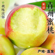 春福樂(lè ) 山東青州蜜桃【源頭直發(fā)】現摘蜜桃子當季新鮮水果 5斤| 優(yōu)選單果110g+ |凈重4.5斤