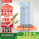 白雪雅竹大容量飲料柜商用冰柜直冷藏展示柜酒水柜純風(fēng)冷無(wú)霜保鮮柜超市玻璃門(mén)冰箱立式啤酒柜 單門(mén)直冷【加深款 】600*630*1950mm