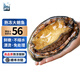 鱘食活凍大鮑魚(yú)新鮮福建九孔鮑魚(yú)國產(chǎn) 海鮮水產(chǎn)燒烤食材 8-10只/斤【超大鮑魚(yú)1斤】