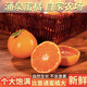 正宗浙江臨海涌泉蜜桔現(xiàn)摘當季水果橘子臺州新鮮蜜橘禮盒可選CC 1斤嘗鮮裝【單果100g+】