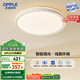 歐普（OPPLE）48瓦吸頂燈客廳臥室燈簡約護(hù)眼智控調(diào)光LED燈具18㎡品見III包安裝