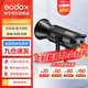 神牛（Godox）補光燈sl200biw雙色溫攝影常亮燈直播補光燈視頻直播補光燈直播人像拍照美顏柔光燈影視燈 SL200BI單燈 官方標配