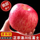 山東煙臺紅富士棲霞蘋(píng)果脆甜冰糖心洛川蘋(píng)果新鮮蘋(píng)果現摘現發(fā)包郵 今年洛川新蘋(píng)果【帶箱9-10斤】大果80mm+