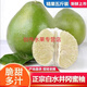 金沙柚井岡蜜柚江西吉水青皮柚子多汁新鮮水果現摘現發(fā) 9.6斤麻袋裝 老果樹(shù)