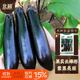 北蔬 茄子種子種苗黑又亮長(cháng)茄陽(yáng)臺盆栽蔬菜種籽 黑妍長(cháng)茄種子50粒
