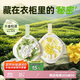 八海鳥(niǎo)梔子花衣柜香薰衣櫥除味香片家用室內臥室持久衣服香氛掛件 