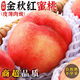 【順豐包郵】正宗山東冬桃水蜜桃5斤新鮮水果整箱應季白鳳桃子甜R 5斤【帶箱精選裝】 【泡沫托包裝】