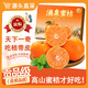 三萌果蔬臨海涌泉蜜桔【EMS/順豐速發(fā)】新鮮蜜橘子黃巖桔子水果節日送禮 【A+級丨精選果】 果徑50-60mm 凈4.5-5斤裝【超劃算-80%人買(mǎi)】