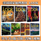 【官方推薦】LOOK教材國家地理少兒英語教材Starter1 2 3 4 5 6 一二三四五六級學生用書 1級 課本+練習冊 送音頻視頻教師