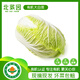 北菜園有機大白菜500g 新鮮有機蔬菜 【進(jìn)店多樣加購】火鍋食材