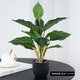 生喜朗仿真綠植盆栽萬(wàn)年青室內客廳植物裝飾含花盆擺件假花辦公室擺設