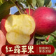 云南丑蘋(píng)果紅露蘋(píng)果新鮮櫻桃小蘋(píng)果脆甜蘋(píng)果冰糖心當季現摘非昭通 3斤