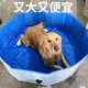 爾山集寵物洗澡盆可折疊大型犬金毛狗狗專用游泳池浴缸洗澡桶洗貓咪浴盆藍色80*30cm