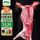 呼貝倫內蒙古灘羊 鮮切整半只羊15斤中秋禮盒生鮮羊肉燒烤清真 源頭直發(fā)