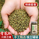 愛蜀味四川金陽干青花椒85g 罐裝 川菜特麻麻椒 干藤椒川菜火鍋調(diào)料