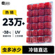 YEE冰凍紅蟲(chóng)豐年蝦牛心漢堡羅漢六角恐龍七彩孔雀魚(yú)發(fā)財魚(yú)飼料魚(yú)魚(yú)食 小紅蟲(chóng)5板(喂食鑷+化冰盒)