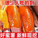 甜萌果蔬【現(xiàn)貨】西瓜紅蜜薯紅薯沙地紅薯番薯當(dāng)季新鮮蔬菜現(xiàn)挖現(xiàn)發(fā)整箱 5斤手挑裝【軟糯香甜】凈重4.5斤