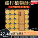 無(wú)煙酥油蠟燭燈供佛燈小太陽(yáng)植物天然酥油室內長(cháng)明燈居家煮茶蠟燭 4小時(shí)100粒-黃色1盒