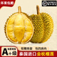 安果仙禮泰國金枕榴蓮進(jìn)口新鮮水果順豐包郵一級整個(gè)應季斤頭巴掌肉大 【順豐】A級大果 |4-5斤(保4-5房）