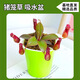 京云夢(mèng)豬籠草盆栽新奇趣味捕蟲(chóng)草食人花卉綠植食蟲(chóng)草新奇趣味源頭直發(fā)