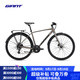 捷安特（GIANT）Escape 2 City Disc城市休閑通勤健身16速平把公路自行車(chē) Metal 700C×535MM L 建議180-190cm