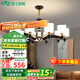 雷士（NVC）吊燈北歐客廳吊燈輕奢北歐客廳燈美式餐廳燈大氣全屋燈具國家補(bǔ)貼 【弧影】10頭吊燈 配5W暖白泡