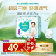 幫寶適【夏天超薄透氣】清新幫透氧Pro嬰兒拉拉褲 尿不濕尿布XL24