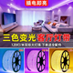 雷俊照明LED燈帶三色變光客廳220V家用燈帶戶(hù)外防水跑馬燈帶工程亮化燈帶 5730-大芯片高亮雙排120珠單色【白光】 10米+1個(gè)插頭+卡子+尾塞
