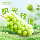 大涼山陽(yáng)光玫瑰新鮮5斤晴王葡萄無(wú)籽香印提子青提當季整箱 5斤（含箱） 8mm-10mm 小果