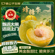 春公子正宗蜂糖李【JD送貨上門(mén)】蜂蜜李子孕婦水果脫骨脆李七夕水果禮盒 甄選果王【30-40g】 3斤分享裝【30年老樹(shù)】?jì)糁?.5斤
