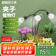 三思夾子植物燈led室內(nèi)全光譜綠植盆栽花卉分區(qū)補光燈-30W三頭定時