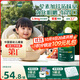 英氏嬰幼兒米粉番茄牛肉加鋅營養(yǎng)米粉寶寶輔食米糊3階258g 10月+