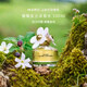 莫杰（MARC JACOBS）雛菊女士淡香水100ml 花香調  生日禮物自營(yíng)