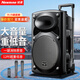 紐曼（Newmine）B12廣場(chǎng)舞音響12英寸戶外大音量藍(lán)牙拉桿音箱大功率便攜式移動(dòng)演出k歌低音炮地?cái)倲[攤喇叭雙麥版