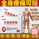 萬(wàn)痛筋骨貼遠(yuǎn)紅外筋骨萬(wàn)痛貼安徽 頸椎病關(guān)節(jié)膝蓋腰腿部適坐骨痛 【萬(wàn)痛筋骨貼1盒50貼】