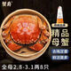 【活蟹】蟹爵大閘蟹鮮活螃蟹現(xiàn)貨生鮮河蟹水產(chǎn)實(shí)物海鮮禮盒 全母2.8-3.1兩8只