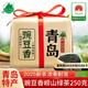 嶗茗【2025新茶】綠茶青島嶗山綠茶濃香型250g豌豆香袋裝正宗山東茶葉