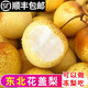 辰實(shí)【順豐】花蓋梨 新鮮東北軟梨 水果特產(chǎn)可做凍梨 5斤（特大果）約16個(gè)