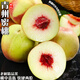 騎猴趕馬新鮮青州蜜桃 當季新鮮水果過(guò)節送禮脆甜桃子整箱包郵青州脆桃子 凈重4.5斤丨單果60-80g丨精選裝 甄選高山老齡母樹(shù)果