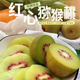 田園東方貴州水城紅心獼猴桃 新鮮應(yīng)季水果 單果50-70g15只裝（個小嘗鮮中通）