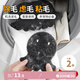 Daisy Leaf 洗衣機粘毛神器洗衣機過(guò)濾網(wǎng)去毛吸毛通用濾毛器 一盒2個(gè)裝