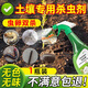皎潔土壤殺蟲(chóng)劑家用花盆盆栽土里殺蟲(chóng)殺菌藥螞蟻花卉植物通用地下專(zhuān)用 1瓶
