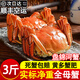 【活蟹】（網(wǎng)兜蟹）盤(pán)錦河蟹鮮活大閘蟹全母蟹六月黃公蟹禮品禮盒 凈重3斤【1-1.3兩】母蟹25-30只