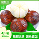 京鮮生印尼進(jìn)口蛇皮果 凈重4斤 單果50g+ 水果 送禮 源頭直發(fā)包郵