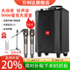 萬(wàn)利達廣場(chǎng)舞音響藍牙大音量音箱戶(hù)外k歌L12寸拉桿移動(dòng)大功率M+9015S無(wú)線(xiàn)話(huà)筒u段藍牙家用重低音喇叭音質(zhì) M+9058（15寸）+雙話(huà)筒+支架