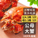 【活蟹】乾澄大閘蟹現貨 公4.3兩母3.3兩 10只5對 足斤足兩鮮活螃蟹河蟹海鮮中秋禮盒裝