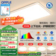 歐普（OPPLE）LED吸頂燈大客廳自建房超大1.2米全光譜APP智能燈具飾錦軒TC A5智控調光【4室1廳-5燈】
